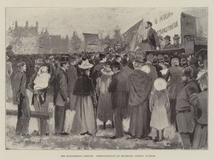 Het Ingenieursconflict, Demonstratie op Eelbrook Common, Fulham door Henry Charles Seppings Wright
